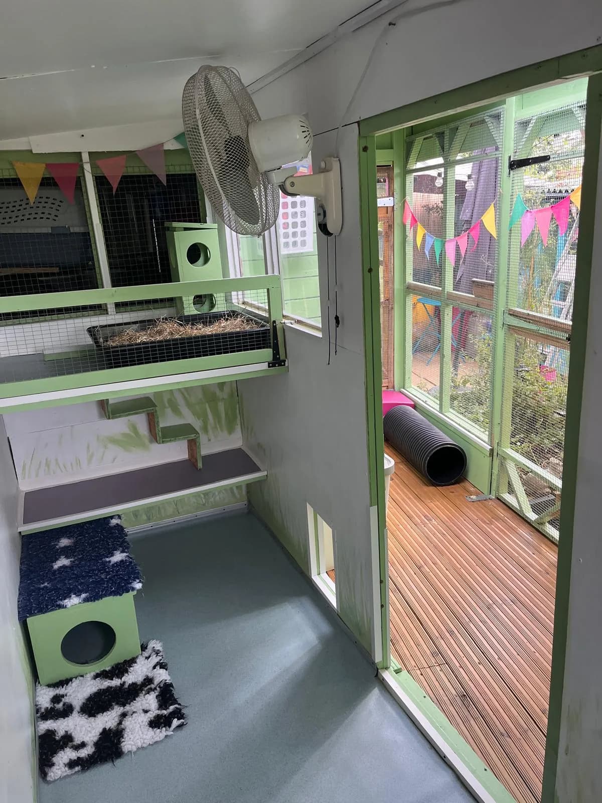 Apple Tree Lodge pod with its snooze shelf, steps and the open doorway to its decked run